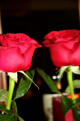Valentine Night @ E Cafe